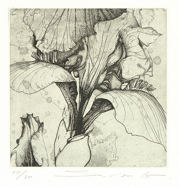 not identified - Fragrance of Forest - artelino Art Auctions. not identified - Fragrance of Forest