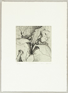 not identified - Fragrance of Forest - artelino Art Auctions. not identified - Fragrance of Forest