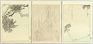 Seitei (Shotei) Watanabe 1851-1918 - Pine, Gourd and Grasses - artelino Art Auctions. Seitei (Shotei) Watanabe 1851-1918 - Pine, Gourd and Grasses