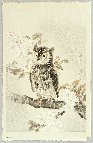 Eiichi Kotozuka 1906-1979 - Owl and Cherry Blossoms - artelino Art Auctions. Eiichi Kotozuka 1906-1979 - Owl and Cherry Blossoms