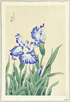 Eiichi Kotozuka 1906-1979 - Blue Iris - artelino Art Auctions. Eiichi Kotozuka 1906-1979 - Blue Iris