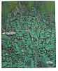Zhang Hongxun born 1957 - Green Landscape
