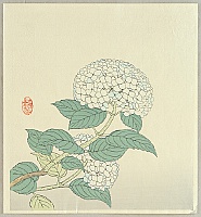 Nisaburo Ito 1910-1988 - Hydrangea - artelino Art Auctions. Nisaburo Ito 1910-1988 - Hydrangea