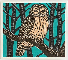 Keizaburo Tejima born 1935 - Owl on Tree Branch - artelino Art Auctions. Keizaburo Tejima born 1935 - Owl on Tree Branch