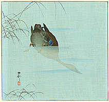 Koson Ohara 1877-1945 - Diving Mallard (blue version) - artelino Art Auctions. Koson Ohara 1877-1945 - Diving Mallard (blue version)