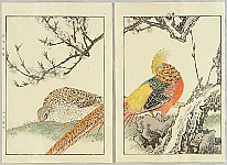 Keinen Imao 1845-1923 - Chinese Pheasants - Keinen Gafu - artelino Art Auctions. Keinen Imao 1845-1923 - Chinese Pheasants - Keinen Gafu