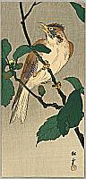 Shoun Yamamoto 1870-1965 - Jaybird - artelino Art Auctions. Shoun Yamamoto 1870-1965 - Jaybird