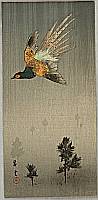 Shoun Yamamoto 1870-1965 - Pheasant - artelino Art Auctions. Shoun Yamamoto 1870-1965 - Pheasant