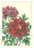 Hodo Nishimura active 1930s - Peony - artelino Art Auctions. Hodo Nishimura active 1930s - Peony