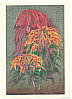 Taisui Inuzuka fl. 1920s - Coleus - artelino Art Auctions. Taisui Inuzuka fl. 1920s - Coleus