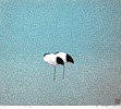 Hao Boyi born 1938 - Dreams in the Snow