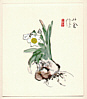 Seiho Takeuchi 1864-1942 - White Daffodil - artelino Art Auctions. Seiho Takeuchi 1864-1942 - White Daffodil