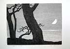 Li Yitai born 1944 - Moonlight