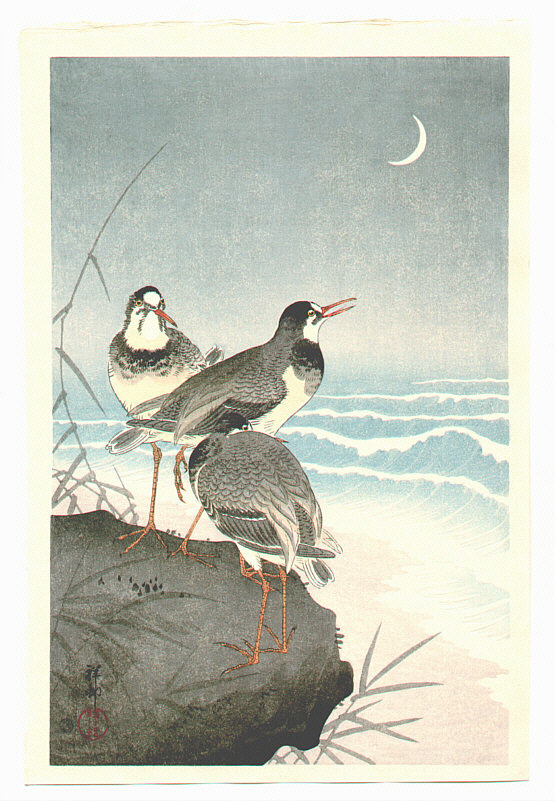 No3684 掛軸 木村光年 那智瀑布図 絹本 共箱 日本画 古美術 送料