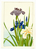 Hodo Nishimura active 1930s - Iris - artelino Art Auctions. Hodo Nishimura active 1930s - Iris