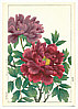 Hodo Nishimura active 1930s - Dark Peonies - artelino Art Auctions. Hodo Nishimura active 1930s - Dark Peonies