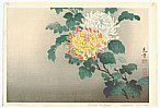 Koitsu Tsuchiya 1870-1949 - Chrysanthemums - artelino Art Auctions. Koitsu Tsuchiya 1870-1949 - Chrysanthemums