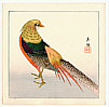 Biho Takahashi 1873-? - Pheasant - artelino Art Auctions. Biho Takahashi 1873-? - Pheasant