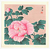 Biho Takahashi 1873-? - Peony - artelino Art Auctions. Biho Takahashi 1873-? - Peony