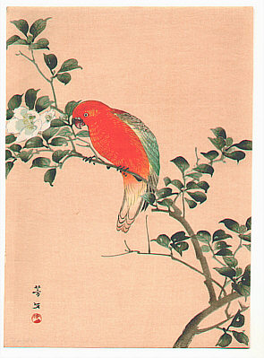 Hobun Kikuchi 1862-1918 - Orange Parrot - artelino Art Auctions. Hobun Kikuchi 1862-1918 - Orange Parrot