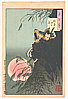 Yoshitoshi Taiso 1839-1892 - Inaba Mountain Moon - Tsuki Hyakushi  # 7