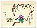 Zeshin Shibata 1807-1891 - Morning Glories - Hana Kurabe - artelino Art Auctions. Zeshin Shibata 1807-1891 - Morning Glories - Hana Kurabe
