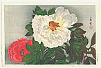 Kazuma Oda 1881-1956 - Peonies (Muller Collection) - artelino Art Auctions. Kazuma Oda 1881-1956 - Peonies (Muller Collection)