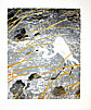 Chen Yuqiang born 1938 - Strength Grass (edition 1/150)
