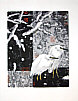 Chen Yuqiang born 1938 - Cold Snow