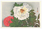 Kazuma Oda 1881-1956 - Peonies - artelino Art Auctions. Kazuma Oda 1881-1956 - Peonies