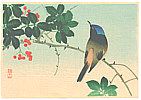 Sozan Ito 1884-? - Blue Head Bird on Nanten Tree (Muller Collection) - artelino Art Auctions. Sozan Ito 1884-? - Blue Head Bird on Nanten Tree (Muller Collection)
