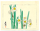 Zeshin Shibata 1807-1891 - White Daffodils - Hana Kurabe - artelino Art Auctions. Zeshin Shibata 1807-1891 - White Daffodils - Hana Kurabe