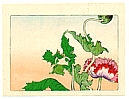 Zeshin Shibata 1807-1891 - Poppy - Hana Kurabe - artelino Art Auctions. Zeshin Shibata 1807-1891 - Poppy - Hana Kurabe