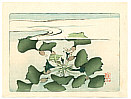 Zeshin Shibata 1807-1891 - Water Plant - Hana Kurabe - artelino Art Auctions. Zeshin Shibata 1807-1891 - Water Plant - Hana Kurabe