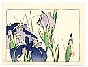 Zeshin Shibata 1807-1891 - Iris - Hana Kurabe - artelino Art Auctions. Zeshin Shibata 1807-1891 - Iris - Hana Kurabe