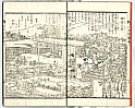 Settan Hasegawa 1778-1843 - Flower Calender of Edo Vol.1 (e-hon, book) - artelino Art Auctions. Settan Hasegawa 1778-1843 - Flower Calender of Edo Vol.1 (e-hon, book)