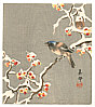 Biho Takahashi 1873-? - Bird on Snow Covered Berry Branch (Muller Collection) - artelino Art Auctions. Biho Takahashi 1873-? - Bird on Snow Covered Berry Branch (Muller Collection)