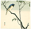 Seiko active ca. 1890 - 1900 - Blue Bird on a Branch (Muller Collection) - artelino Art Auctions. Seiko active ca. 1890 - 1900 - Blue Bird on a Branch (Muller Collection)