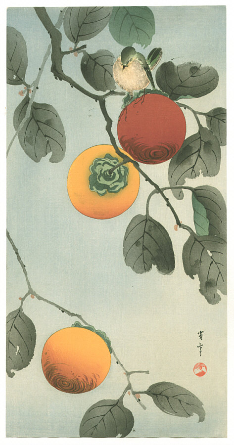 Watanabe Seitei: Bird on a Persimmon Tree (Muller Collection 