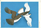 Bakufu Ono 1888-1976 - Two Flying Eagles - artelino Art Auctions. Bakufu Ono 1888-1976 - Two Flying Eagles