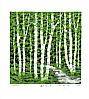 Fumio Fujita born 1933 - Path in the Forest F. (Limited Edition) - artelino Art Auctions. Fumio Fujita born 1933 - Path in the Forest F. (Limited Edition)