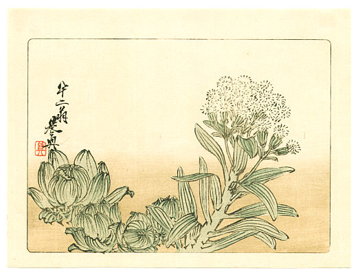 Zeshin Shibata 1807-1891 - Flowering Plant - Hana Kurabe  (First Edition)