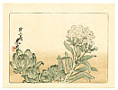Zeshin Shibata 1807-1891 - Flowering Plant - Hana Kurabe (First Edition) - artelino Art Auctions. Zeshin Shibata 1807-1891 - Flowering Plant - Hana Kurabe (First Edition)