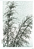 Eiichi Kotozuka 1906-1979 - Bamboo in the Wind - artelino Art Auctions. Eiichi Kotozuka 1906-1979 - Bamboo in the Wind