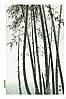 Eiichi Kotozuka 1906-1979 - Bamboo Forest - artelino Art Auctions. Eiichi Kotozuka 1906-1979 - Bamboo Forest