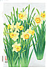 Nisaburo Ito 1910-1988 - Daffodils - artelino Art Auctions. Nisaburo Ito 1910-1988 - Daffodils