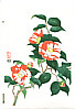 Nisaburo Ito 1910-1988 - Camellia - artelino Art Auctions. Nisaburo Ito 1910-1988 - Camellia