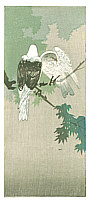Unknown - Two Pigeons (Muller Collection) - artelino Art Auctions. Unknown - Two Pigeons (Muller Collection)
