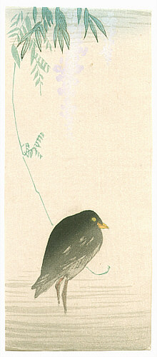 Unknown - Black Bird and Wisteria (Muller Collection) - artelino Art Auctions. Unknown - Black Bird and Wisteria (Muller Collection)