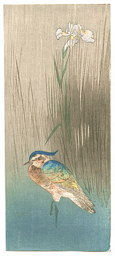 Unknown - Bird and Iris (Muller Collection) - artelino Art Auctions. Unknown - Bird and Iris (Muller Collection)